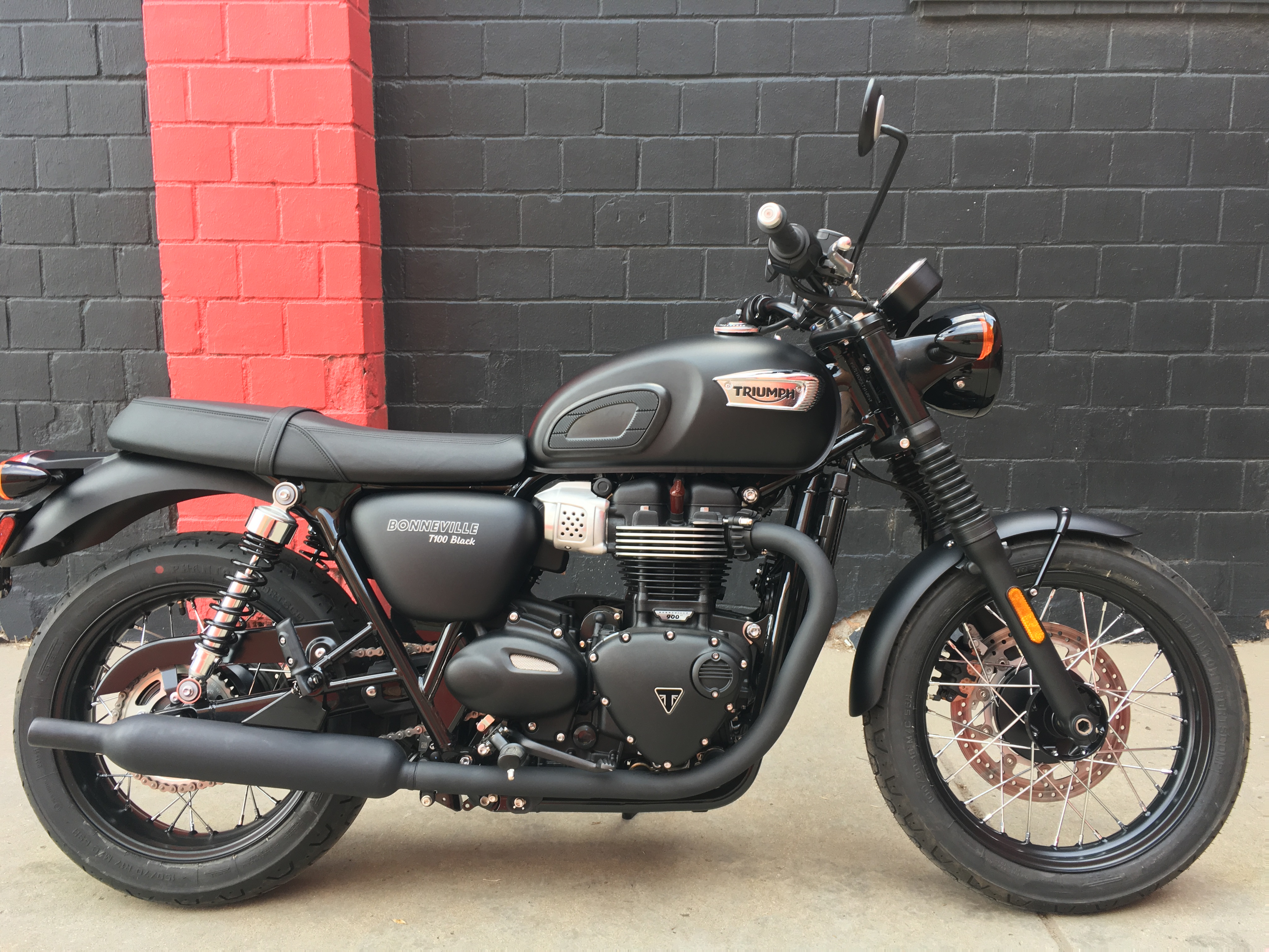 New 2019 TRIUMPH BONNEVILLE T100 MATTE BLACK DEMO Motorcycle in Denver