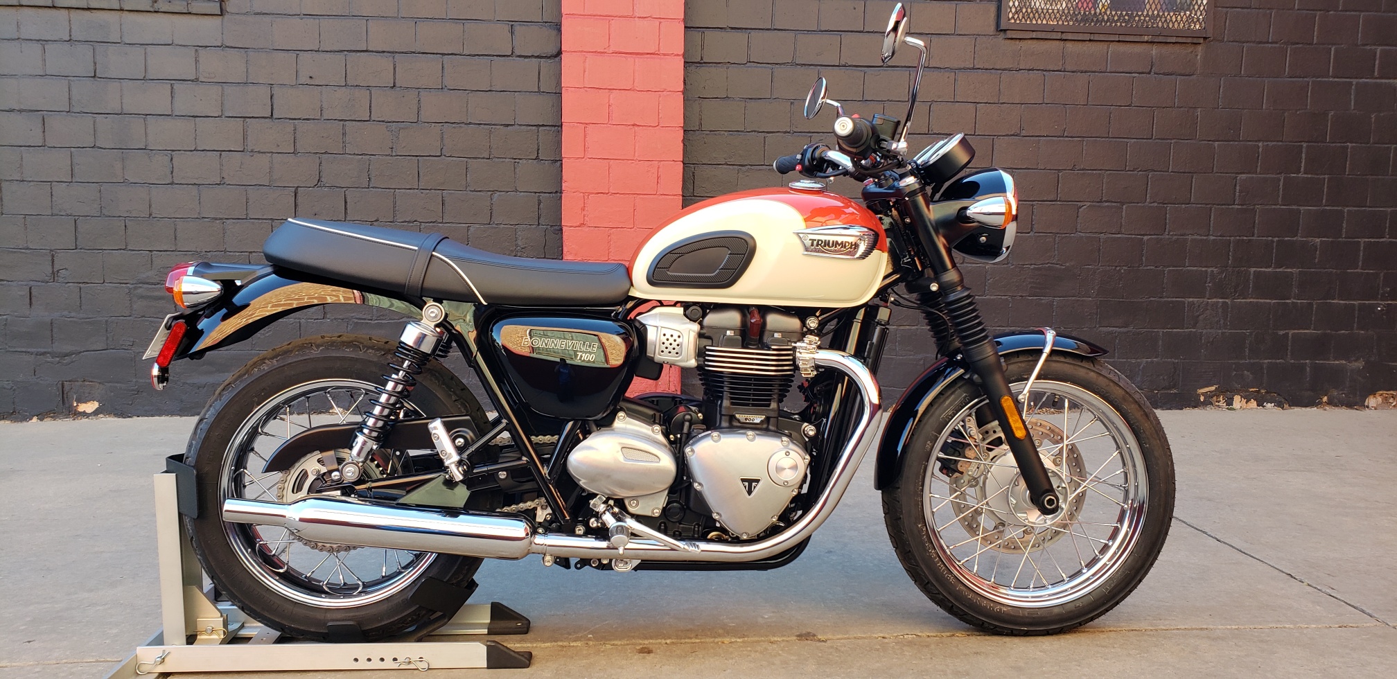 New 2019 TRIUMPH BONNEVILLE T100 Motorcycle in Denver ...